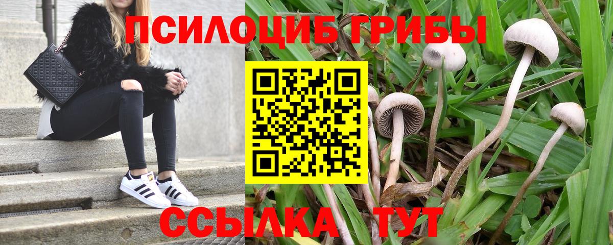Галлюциногенные грибы Cubensis Биробиджан
